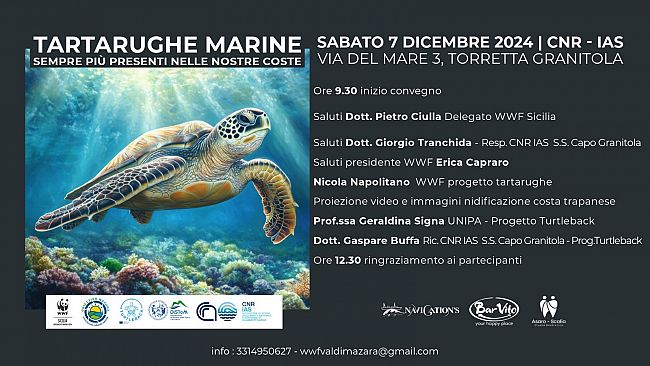 Capo Granitola: convegno sulle tartarughe marine, un incontro per conoscerle e proteggerle