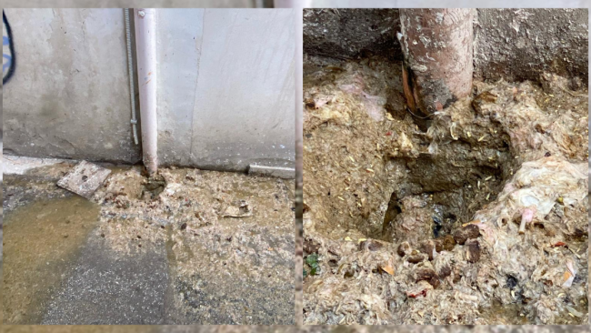 Emergenza Inquinamento Idrico nel Centro storico di Trapani