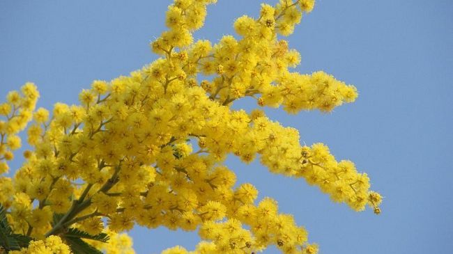 Erice, domani il laboratorio AIF “La rivoluzione della luna: apprendere al femminile”