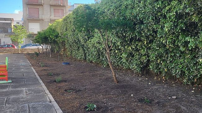​Genitori della Scuola dell’Infanzia Benedetto Croce riqualificano gli spazi esterni