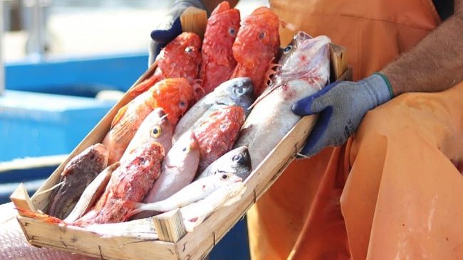 gal-pesca-trapanese-ultimati-i-workshop-di-animazione-territoriale