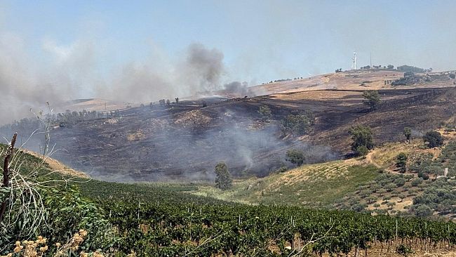 ​Buseto Palizzolo, incendio minaccia il Bosco di Scorace