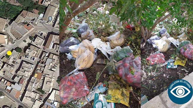 Segnalazioni del cittadino: frutta in buste abbandonata