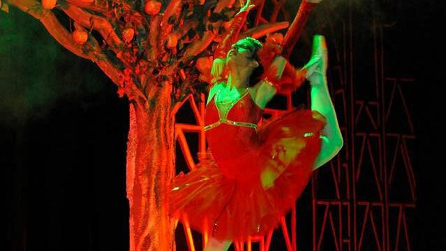 Grande successo per l’Accademia di danza “The Royal School of Dancing”