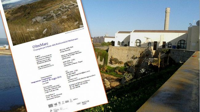 OltreMare. Un progetto per il futuro della Biodiversità del Mediterraneo