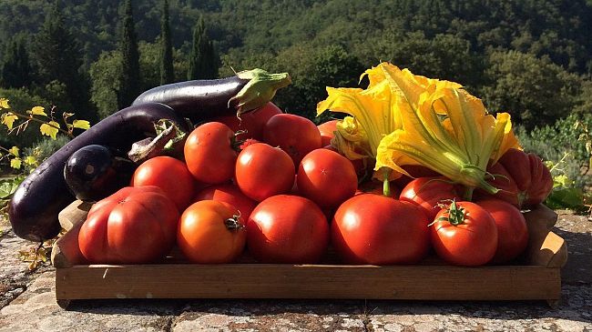 Cia Sicilia occidentale: spariti i bandi PSR per biologico e allevatori