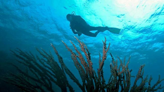 Tragedia in mare, morto un sub trapanese durante un’immersione