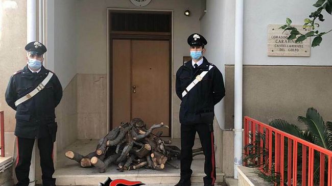 Castellammare, taglia albero per proprio camino. Arrestato