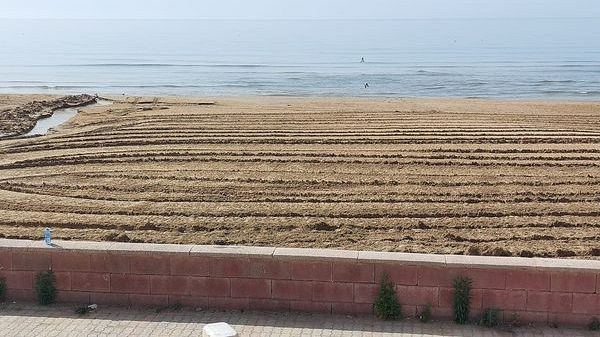 Campobello, avviato intervento di pulizia straordinaria e bonifica sulla spiaggia di Tre Fontane 