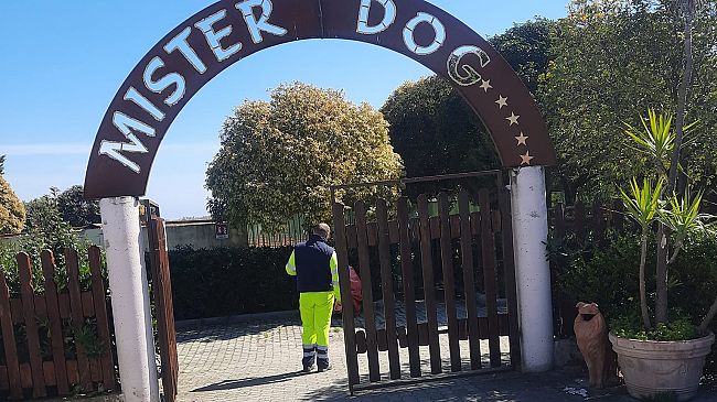 ​Erice. Sopralluogo nel canile che ospita 146 randagi di proprietà comunale