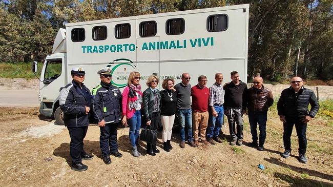 Salaparuta, il comune ospita Gimmi e Ciccio, due asini salvati dal macello 
