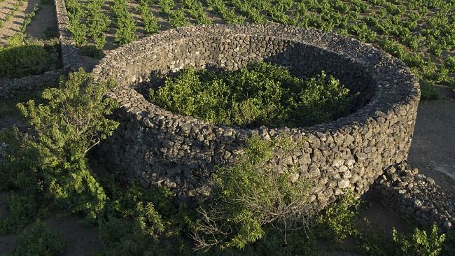 Pantelleria, FAI di Primavera, il 23 e 24 marzo alla scoperta del 