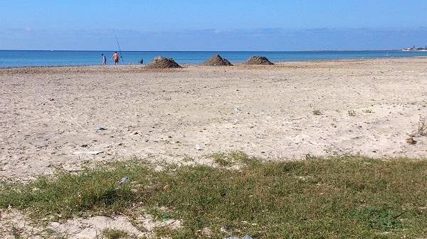 Mazara, chiarimenti sul ricollocamento delle alghe sulla spiaggia di Tonnarella
