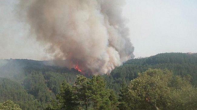 Incendi a raffica in Sicilia. Il governo regionale preferisce le promesse alle certezze
