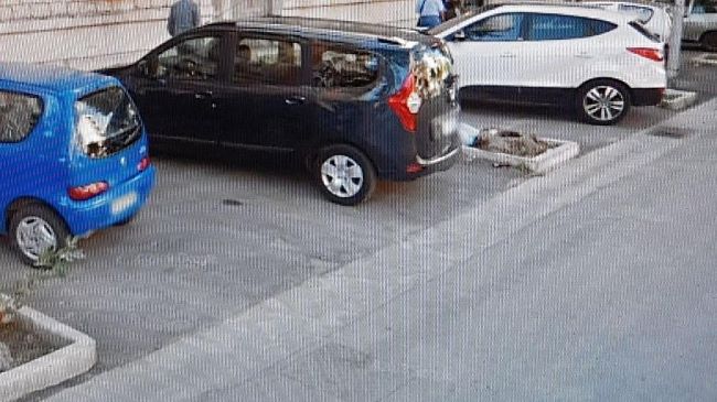 Gli alberi della discordia: Peppe La Porta accusa Francesca Trapani di essere inadeguata