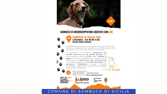 Sambuca, al via la giornata gratuita per microchippare i cani