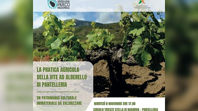Pantelleria, un incontro sulla pratica agricola della vite ad alberello