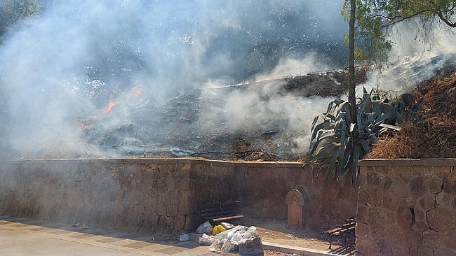 Fiamme al Parco delle Rimembranze e di nuovo alla pre riserva del Belice