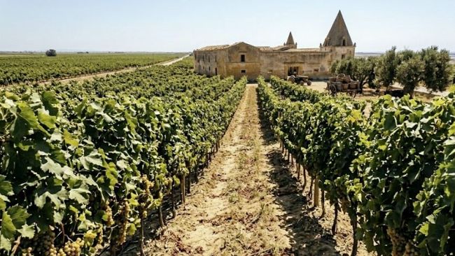Marsala oltre le mura, la Repubblica delle cento contrade