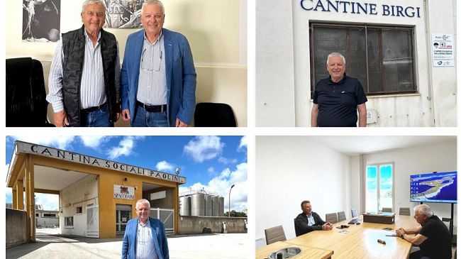 marsala-2026-mario-ragusa-propone-un-piano-green-per-il-rilancio-del-settore-vitivinicolo