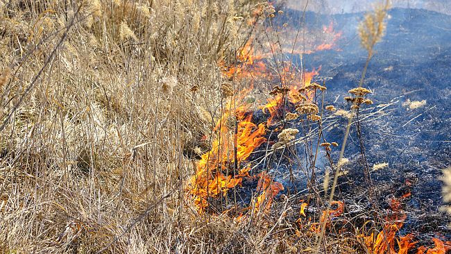 Campobello, prevenzione rischio d’incendi: provvedere alla bonifica dei terreni