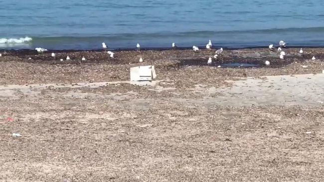 VIDEO – Sindaco Cristaldi su abbandono rifiuti