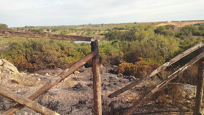 Mazara, in fiamme 300 mq della Riserva Lago Preola e Gorghi Tondi. Ipotesi sulle cause dell’incendio