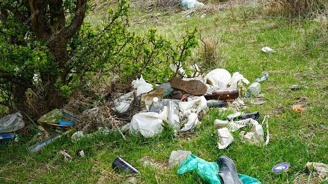 Vita, si inaspriscono le pene per chi abbandona i rifiuti