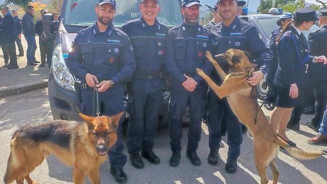 Droga in carcere a Trapani, scoperta grazie al fiuto del cane  Enea