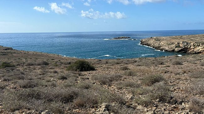 Nasce a Favignana il Comitato spontaneo “Salviamo lo Stornello”