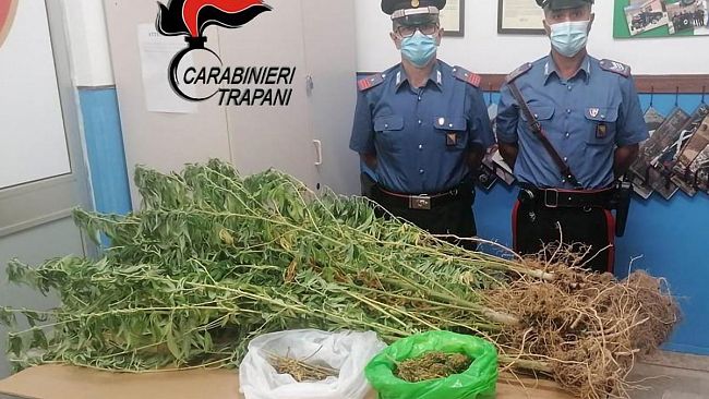 Trapani, sorpreso dai Carabinieri a coltivare marijuana: arrestato