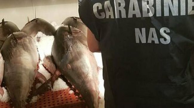 ​Sette intossicati dopo ingestione di tonno rosso, uno è in Terapia intensiva