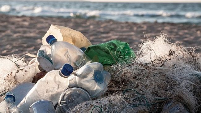 Legambiente Crimiso esprime compiacimento per l'approvazione legge salvamare