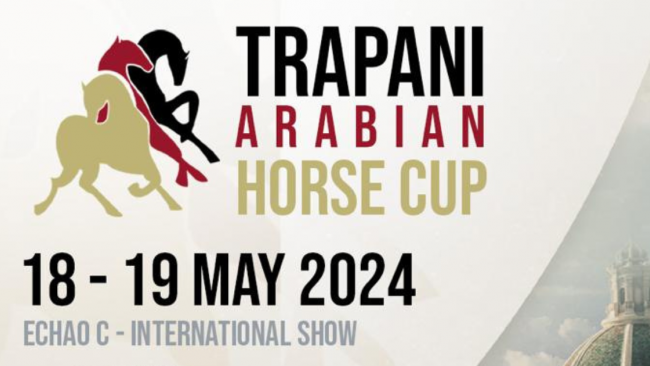 Trapani Arabian Horse Cup 2024: l'eleganza dei cavalli arabi