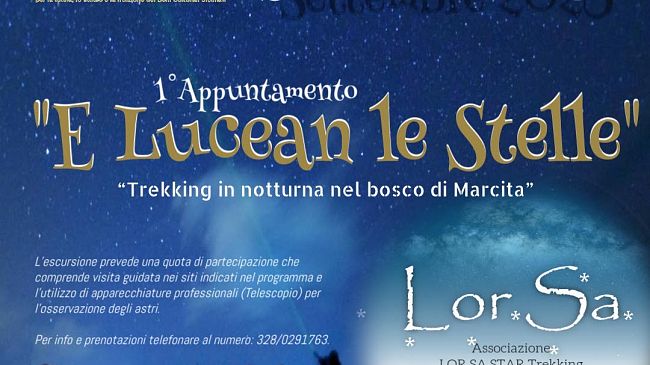 Trekking in notturna nel bosco di Marcita