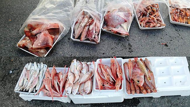 Mazara, vendita abusiva in piazzetta Scalo. La Pm sequestra e distrugge 180 kg di pesce