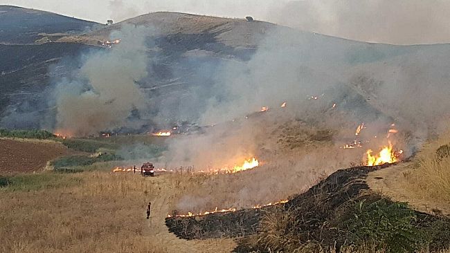 Salemi, grosso incendio:  oltre 20 ettari sono andati in fumo nelle contrade di Sinagia e Polizo