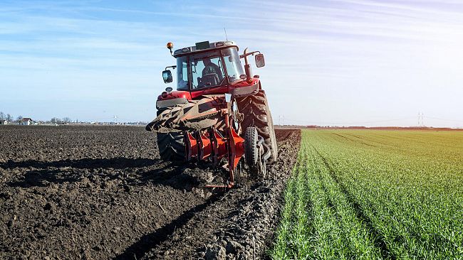 trapani/agricoltura-lettera-dei-sindaci-trapanesi-si-ascoltino-le-richieste