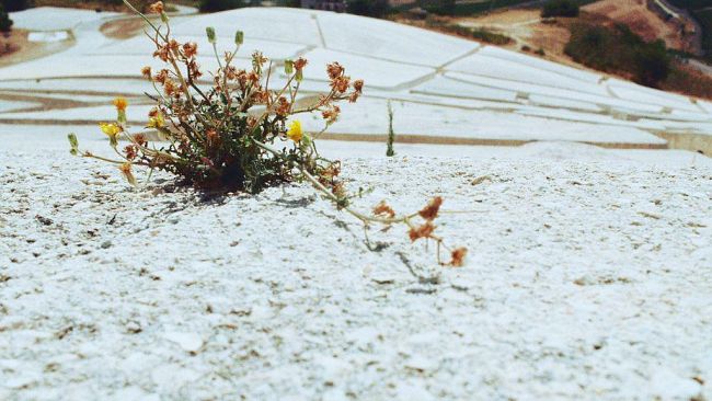 Ultime della sera: “L’arte della vita lenta”