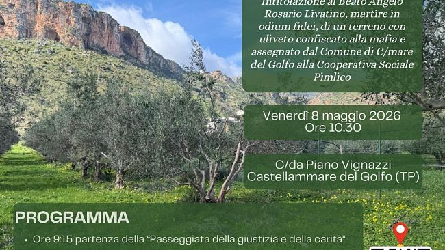 dalla-mafia-alla-comunita-a-castellammare-luliveto-della-rinascita-intitolato-al-giudice-livatino