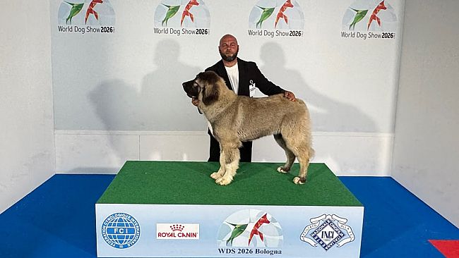 Mazara, il trionfo della famiglia Catania ai Mondiali di Esposizione Canina 2026 a Bologna