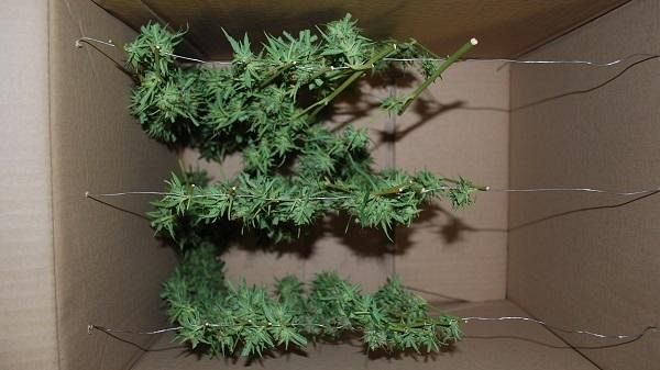 Mazara, ennesimo colpo della Squadra investigativa del Commissariato di P.S. Arrestato uno spacciatore in via Valdemone