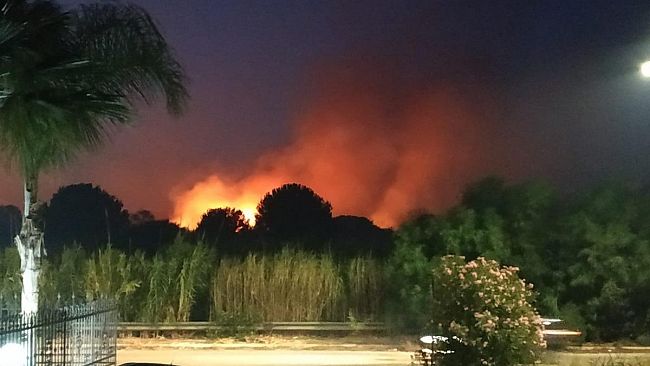 Dieci ettari di terreno in fiamme a Triscina per Ferragosto. Decisivo l’intervento del NOE e dei Vigili del Fuoco