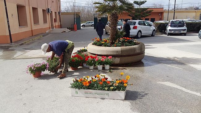 Primavera anticipata all’Alberghiero Titone grazie all’azienda Bosco vecchio