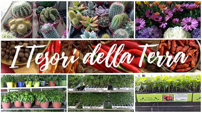 “Tesori della Terra”, inizia la stagione della semina: prepara il tuo orto