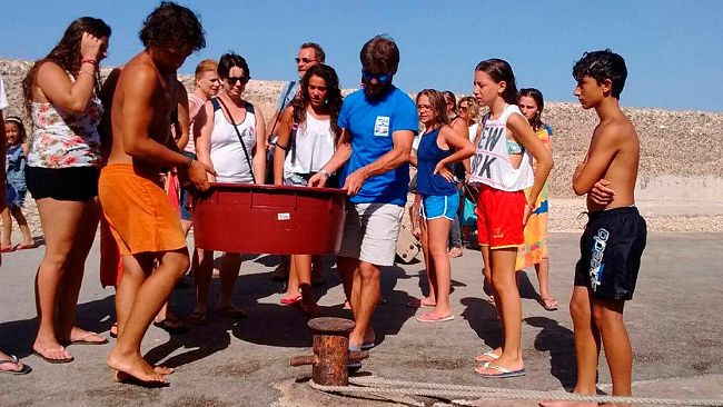 Salvati due esemplari di Caretta caretta a Marsala e Marettimo e ricoverati presso il Centro di Primo Soccorso per tartarughe Marine dell’AMP Isole Egadi