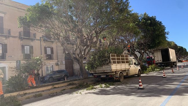 Trapani, scerbatura e potatura avanzano in diverse zone della città