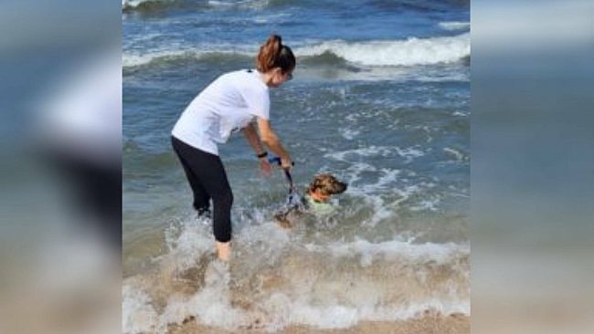 Trapani, cani senza famiglia al mare con i volontari di OIPA