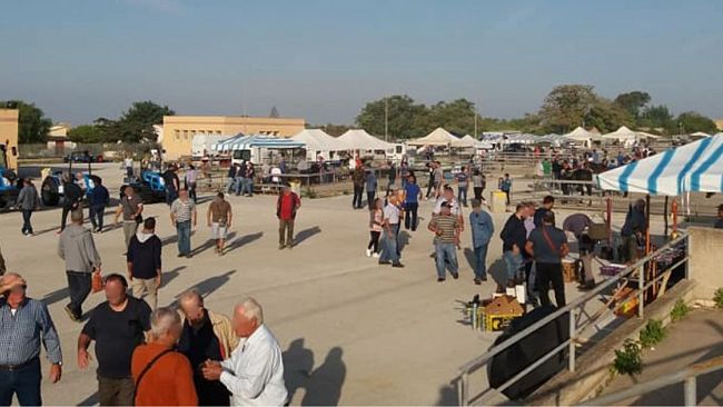 Partanna: 150.000 euro per il miglioramento dell'area della fiera del bestiame