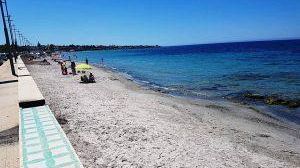 Mazara, Disinfestazione spiagge: il primo intervento nella notte tra giovedì 2 e venerdì 3 luglio